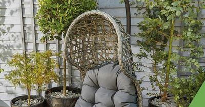 Morrisons brings back sell-out egg chair for 2022