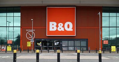 How to get free plants and flowers at B&Q for Easter 2022