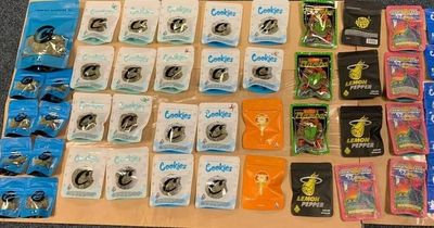 Man throws bike at officers as he flees police