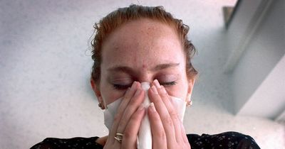 Experts reveal that driving with hay fever this spring could land you with a £1,000 fine