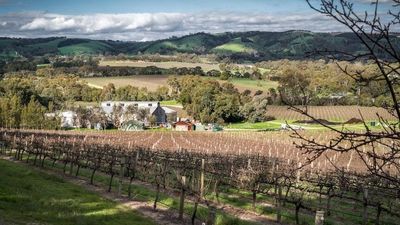 Family owned SA vineyard wins President's Medal at Sydney Royal Easter Show