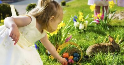 Easter 2022 in Leeds: Egg hunts and brilliant family days out