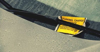 Driver left 'disgusted' after being slapped with huge €200 fine for parking in own car park