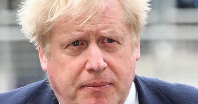 Boris Johnson is in an 'impossible position' says Tory backbencher as he calls on PM to quit