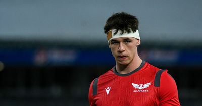 The Wales youngster capped last year who could soon fill Liam Williams' boots