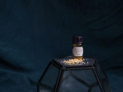 Delic Labs Receives Exemption To Conduct Research On MDMA, LSD And Other Psychedelic Compounds