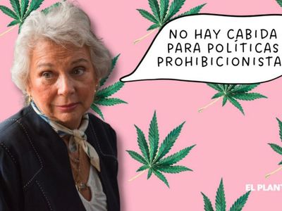 The Mexican Senate President's Model To Regulate Cannabis: 'There Is No Room For Prohibitionist Policies'