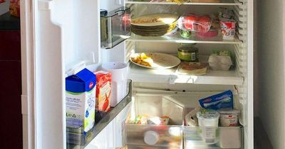 Simple 30-second check behind your fridge could reduce your annual energy bills