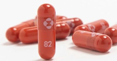 All the NHS approved anti-covid drugs and how they work