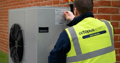 Cost of heat pumps to be slashed as Octopus Energy strikes new deal