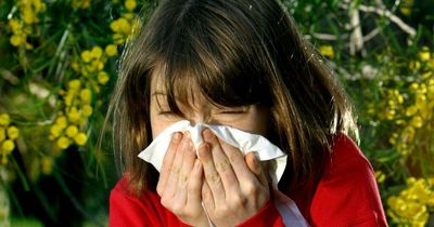 The hay fever antihistamine to 'avoid' as allergy expert issues two key tips