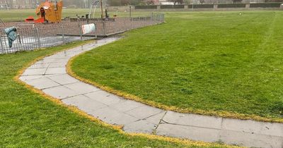 Call for East Lothian Council to stop using 'toxic' weedkiller near playgrounds