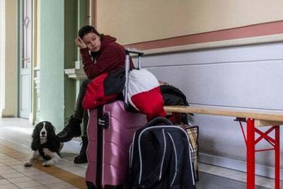 UN agency warns UK not to match Ukrainian women with single men