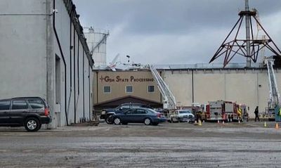 Plane crashes into roof of Idaho factory