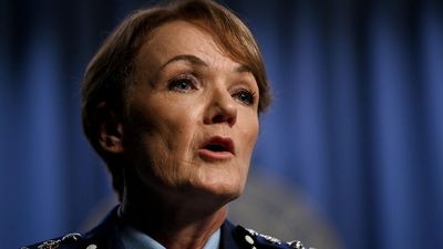 NSW police officers convicted of domestic violence have kept their jobs, despite force's claims of 'zero tolerance'