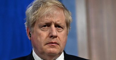 'Tories should call for Boris Johnson to resign as he lied and misled Parliament'