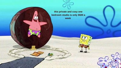 Rent Across Australia Is At Record Highs So Brb, Seasoning My Avo Toast With My Tears