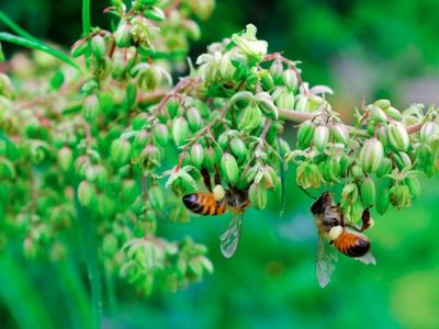 This Michigan Cannabis Company Offers Eco-Friendly Pre-Rolls Containing More Than Just  Weed