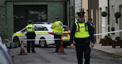 Elderly woman killed in Dublin murder probe named locally as Mary Bergin