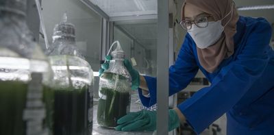 Why algae can be our next secret weapon to combat plastic pollution