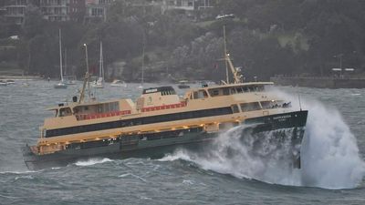 Leaked Memo Says Syd’s New Manly Ferries Are At Risk Of *Checks Notes* Flying In Rough Seas