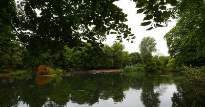 Reports of youths 'throwing stones' and killing birds at Nottingham park