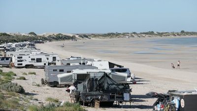 Pristine Eyre Peninsula beaches overrun with campers, with traffic set to increase at Easter