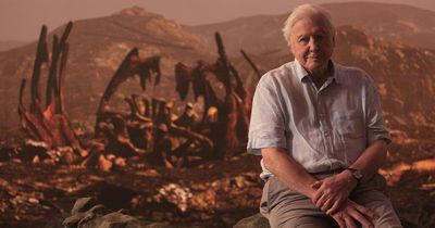 David Attenborough: Scientists at site visited by BBC for naturalist's latest documentary discover preserved dinosaur leg