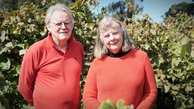 Victorian winegrowers fear smoke from planned burns will taint entire vintage
