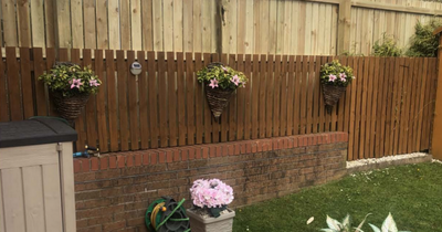 Defiant homeowner vows to keep fence after council orders it to be torn down