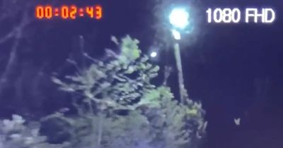 'Bright orange fireball' caught on taxi dashcam streaking through sky