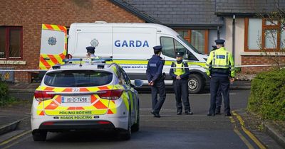 Sligo murders: Leo Varadkar condemns 'scary' and 'gruesome' killing of men in own homes as gardai quiz suspect