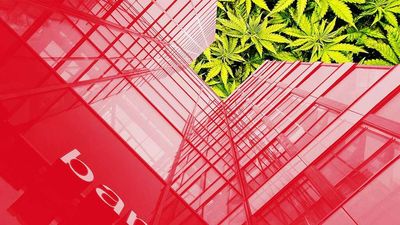 Why Do Legalizers Keep Blocking Pot Banking?