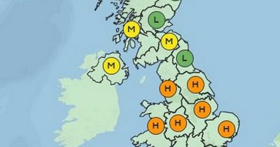 'Pollen bomb' to spell misery for hay fever sufferers as warm weather forecast