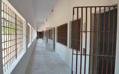 Consider conditional release of single woman prisoners, Orissa HC