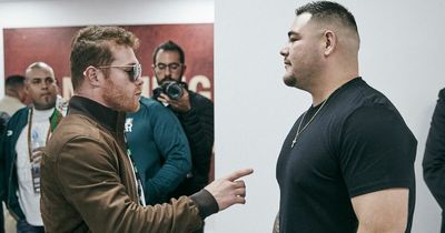 Andy Ruiz Jr announces next fight after being criticised for not training by Canelo Alvarez