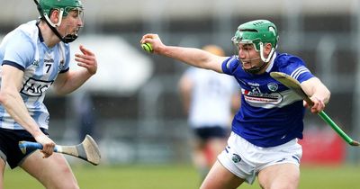 Dublin v Laois: Time, TV channel, live stream info and more for Leinster Hurling Championship clash