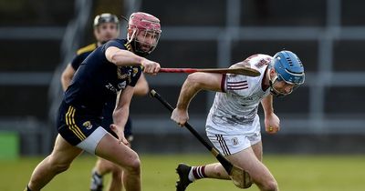 Wexford v Galway date, throw-in time, TV channel information and more for the Leinster Hurling Championship clash