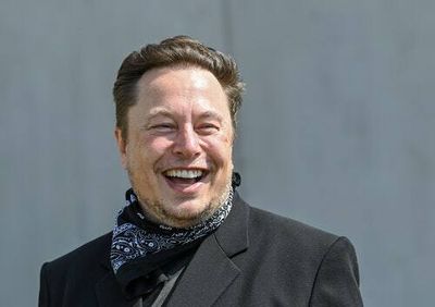 Just let Elon Musk burn Twitter to the ground