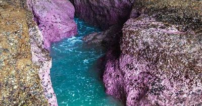 Woman dies after being swept off pink rocks at tourist spot popular for Instagram photos