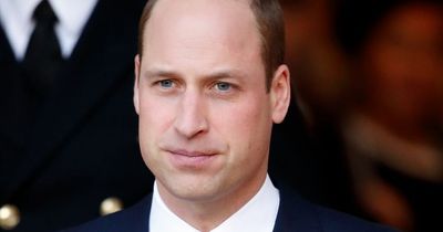 Old photo of Prince William with beard stuns fans who say he looks like another royal