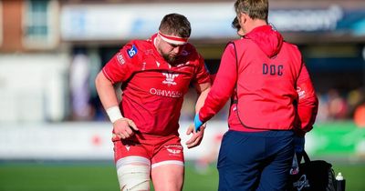 Scarlets issue fitness bulletin on Wales duo as tour doubts grow, while young star has 30 stitches inserted in gruesome head wound