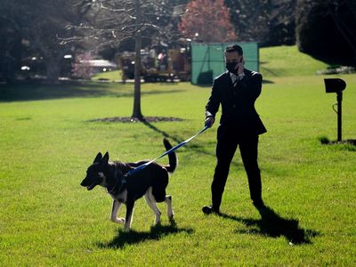 Angry Secret Service agents criticised Bidens for dog Major’s biting and asked for payment for damaged coat