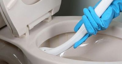 People say a 20p Aldi item we all have at home gets your toilet sparkling in minutes