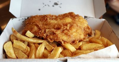 What reviewers had to say about some of the North East's best-known fish and chip shops