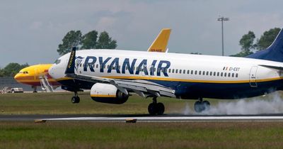 Man removed from Ryanair plane by gardai after inflight incident at Dublin Airport