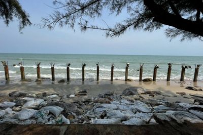 Activists battle to save beaches from sea dykes