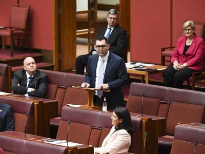 WA Liberal Ben Small resigns from Senate