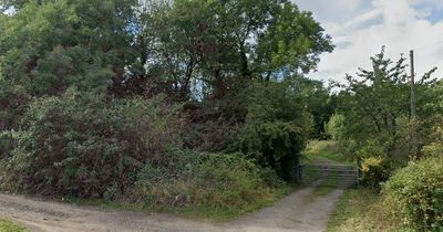 Hidden gem Nottinghamshire walk great for warm Easter weather