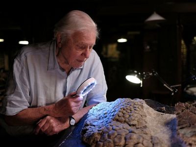 TV tonight: watch out dinosaurs, that big asteroid is coming – and so is David Attenborough